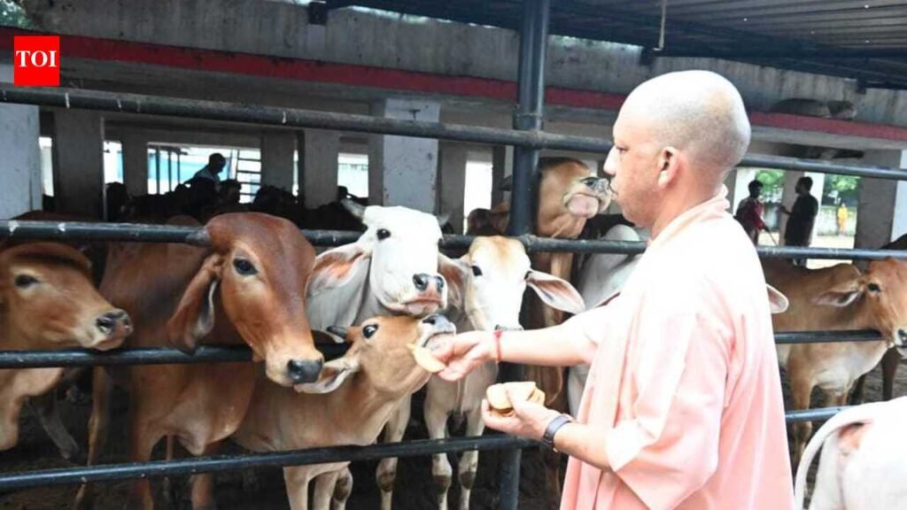 Yogi orders stringent action against land mafia, influential encroachers | Varanasi News