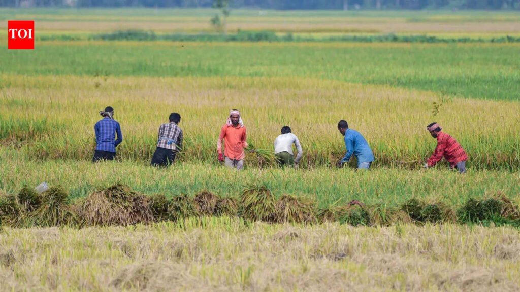 August rainfall fails to reduce India’s monsoon deficit | India News
