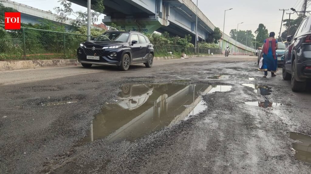 Blissful inaction: HC seeks plan to fix Cuttack roads | Bhubaneswar News