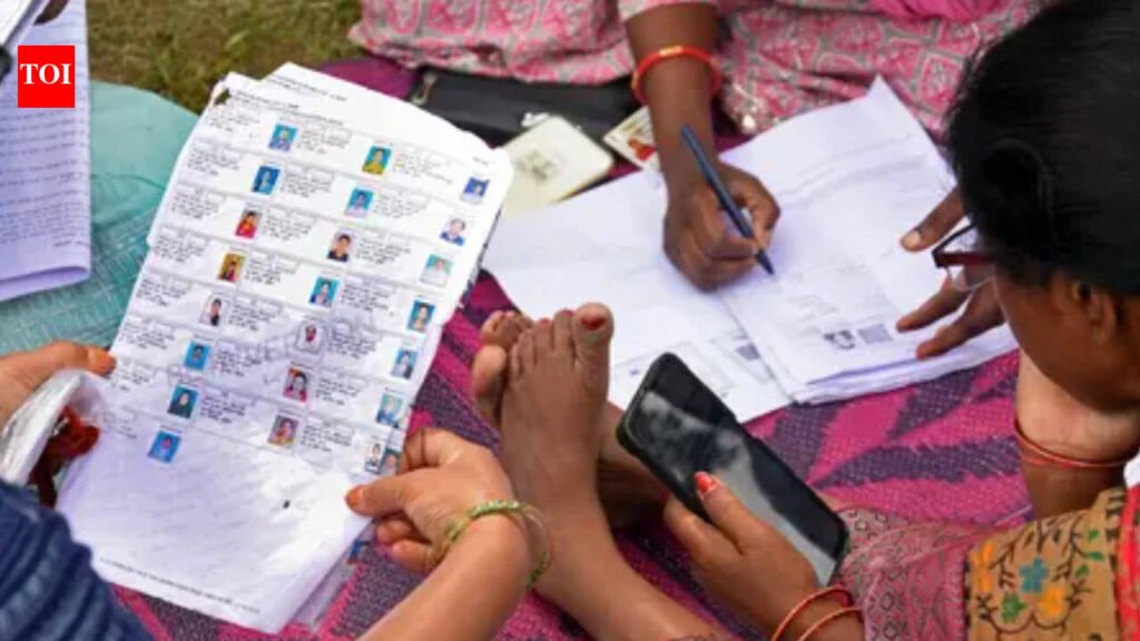 SIR claims, objections deadline extended till Sept 30 in Haryana; final voter roll on Nov 6 | Gurgaon News