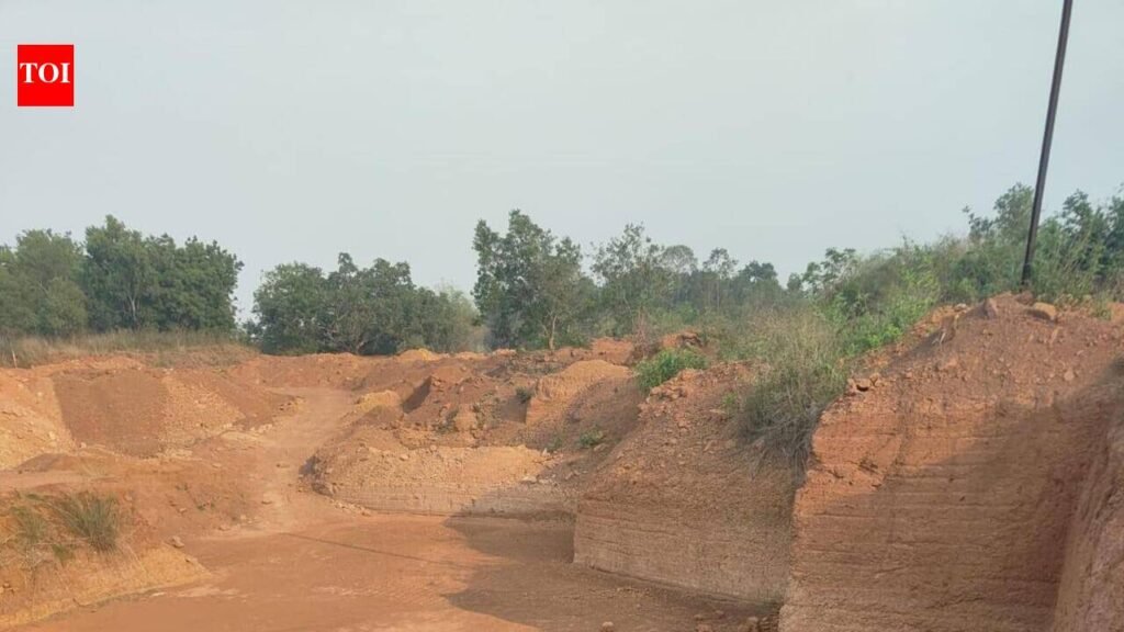 NGT orders probe into Khurda quarry over env violations | Bhubaneswar News