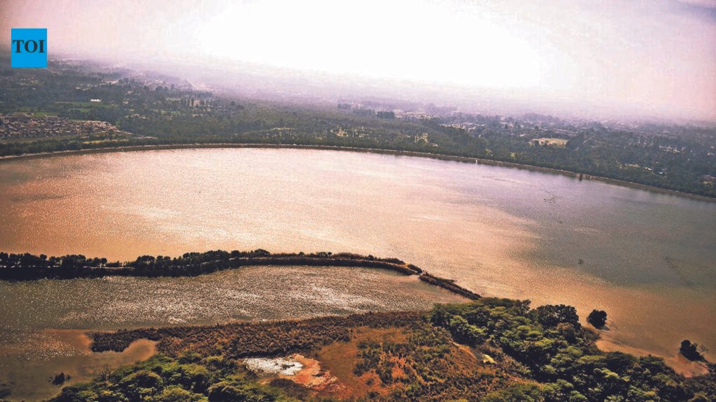 Sukhna Lake water released as level nears danger mark | Chandigarh News