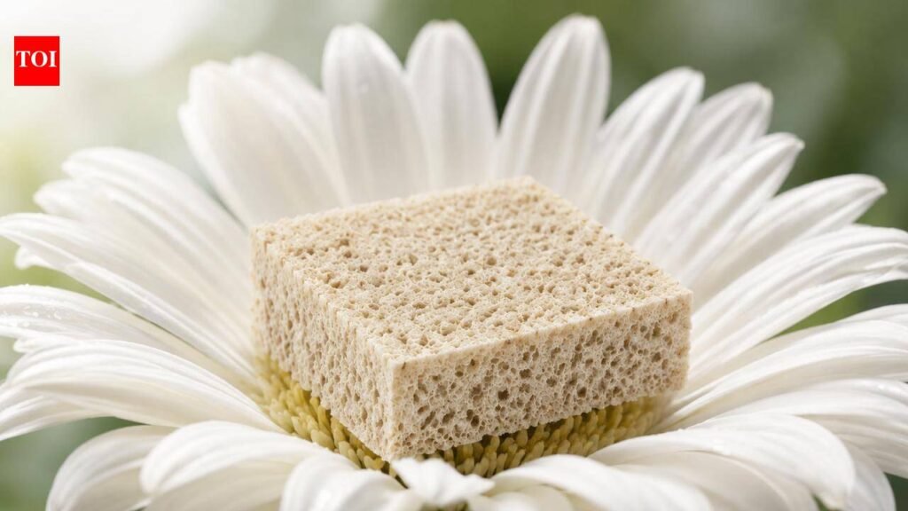 IISc’s eco-friendly foam moves from lab to market | Bengaluru News