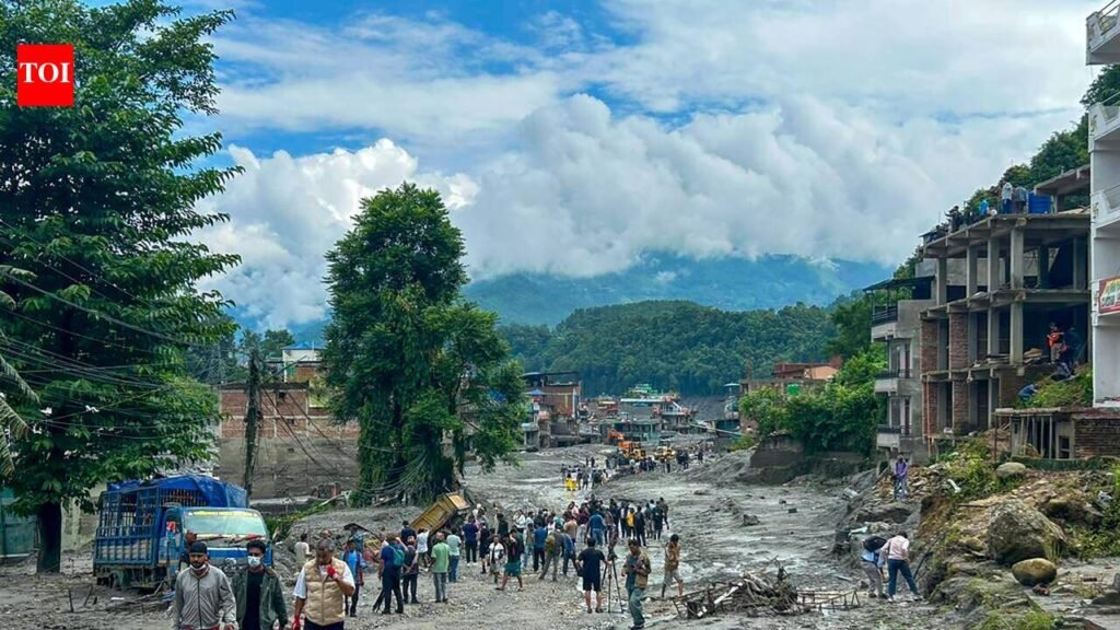 8 on their way, Assam races to bring survivors back home; families search for the missing | Guwahati News
