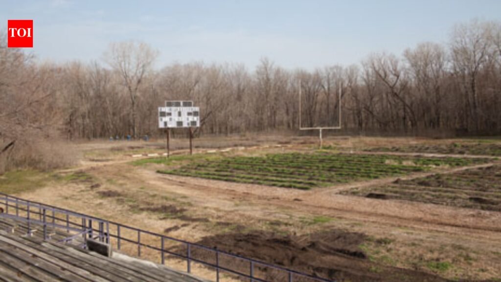 In 2014, an American town was known as the ‘food desert’, but one man turned a college football field into a farm that generates 60,000 pounds of produce