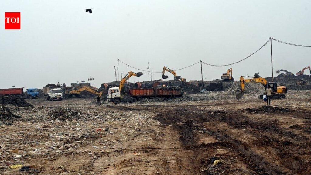 From garbage mountains to cleaner cities: How Delhi is showing India the way | Delhi News