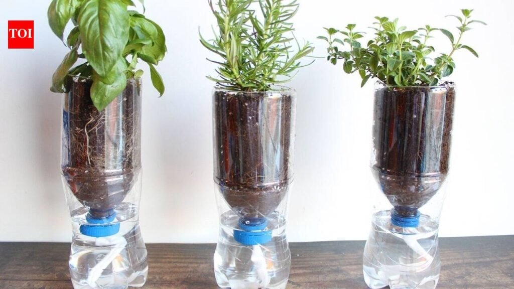 Don’t throw away your empty plastic bottles: turn one into a simple self-watering planter at home and keep your plants hydrated with this easy DIY trick
