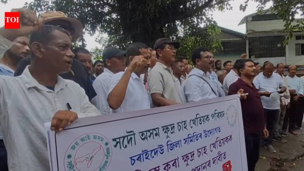 Flood-hit Charaideo small tea growers seek Rs 10,000 per bigha aid | Guwahati News