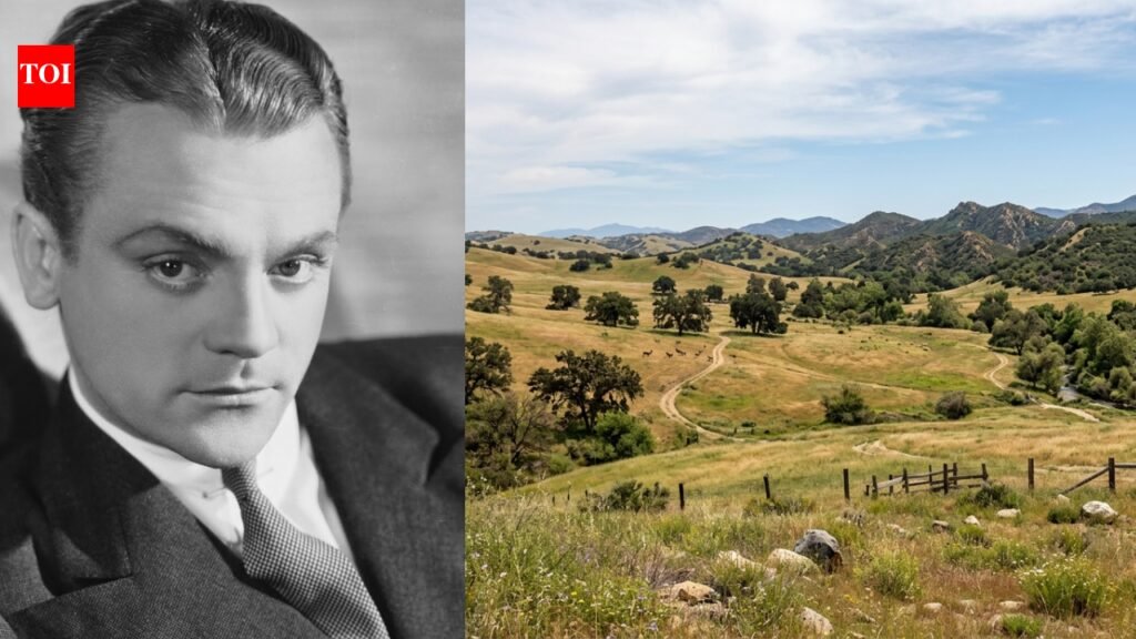 In 1940, actor James Cagney bought hundreds of acres of California grassland; decades later the remaining 417 acres became a protected wildlife corridor | World News