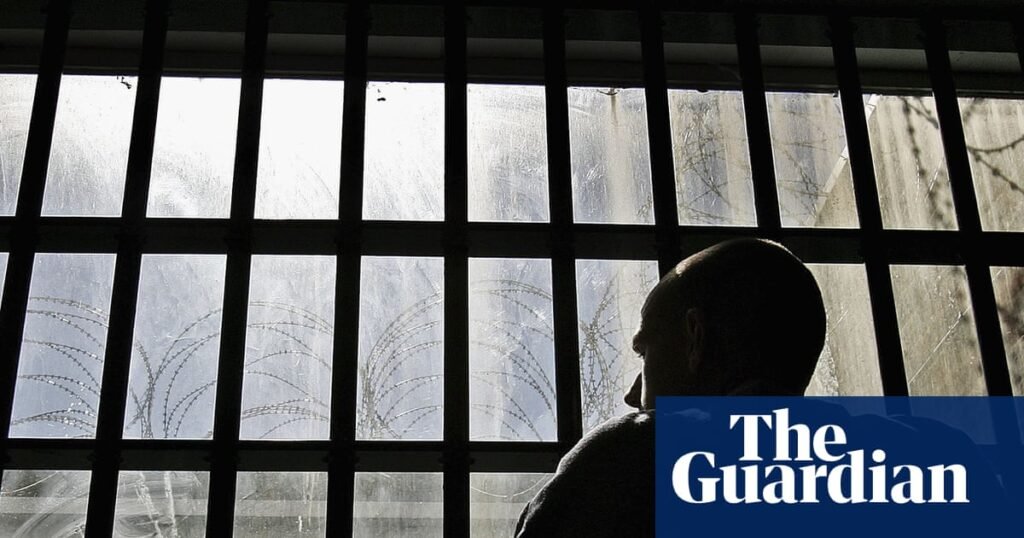 Chemical suppression: why the UK is exploring libido control drugs to treat sex offenders | Crime