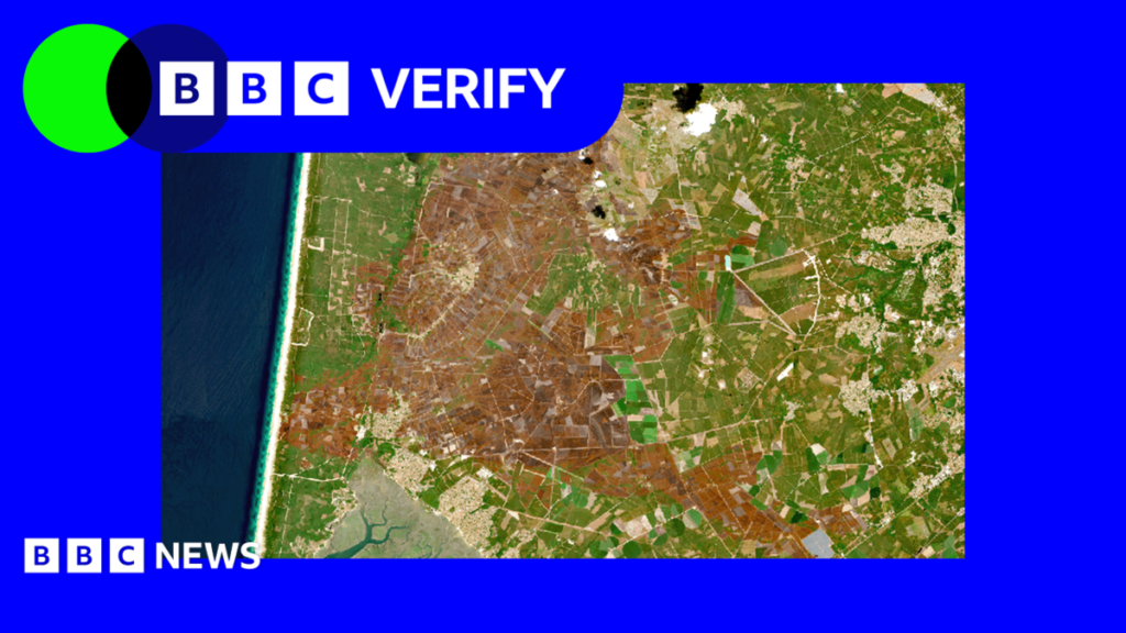 Europe’s scorched landscapes seen from space after summer heatwaves
