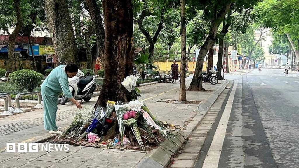 Vietnam: Gen Z seek justice for teen killed in ex-politician’s car crash