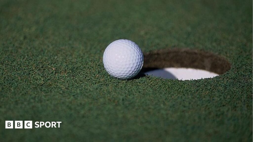 Golfer admits to faking hole-in-one during a tournament in United States