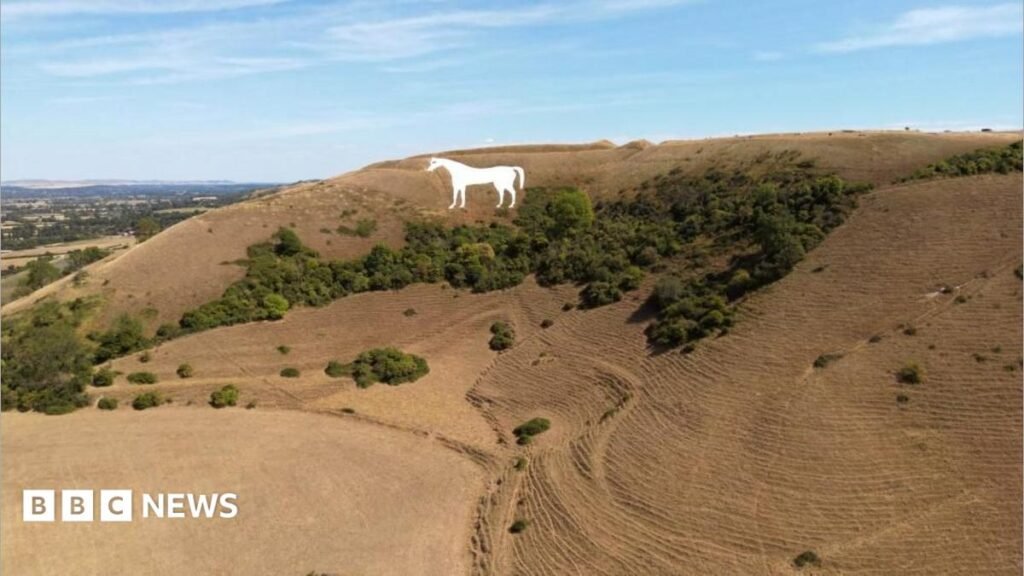 Drought expected to be declared in more parts of England