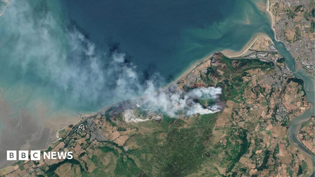 Wales wildfires could see nature take centuries to recover – environmentalists
