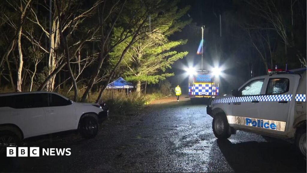 Lifelike doll with ‘bruises and grazes’ sparks mistaken Australian murder inquiry