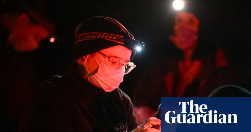 How do you vaccinate 1,000 tiny penguins against bird flu in the wild? It’s ‘really tricky’ but there is a way | Bird flu