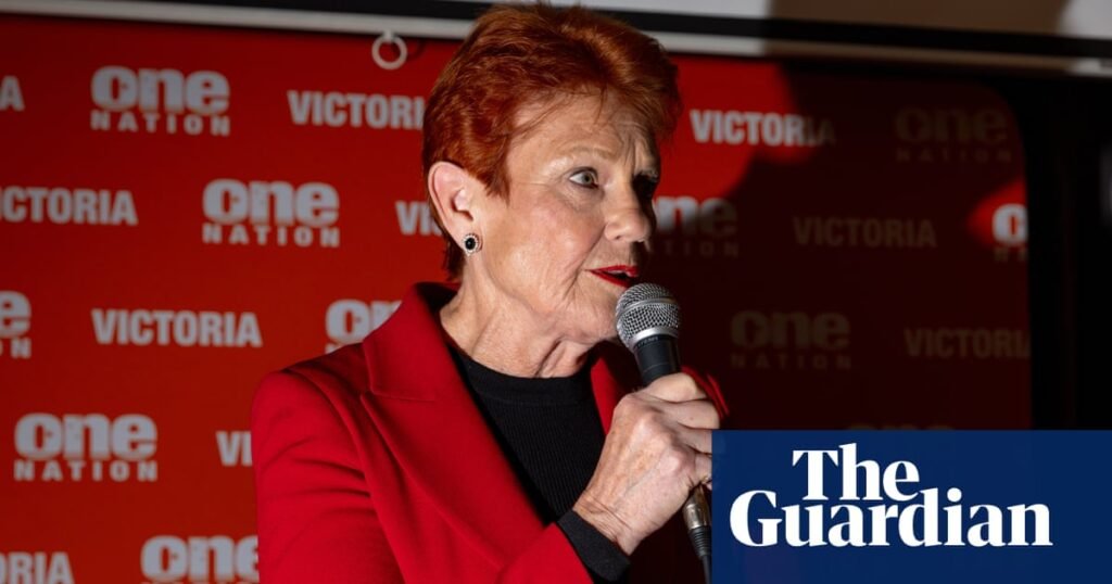 ‘Orange elephant in the room’: Pauline Hanson’s political rise is inspiring racism, inquiry hears | Pauline Hanson