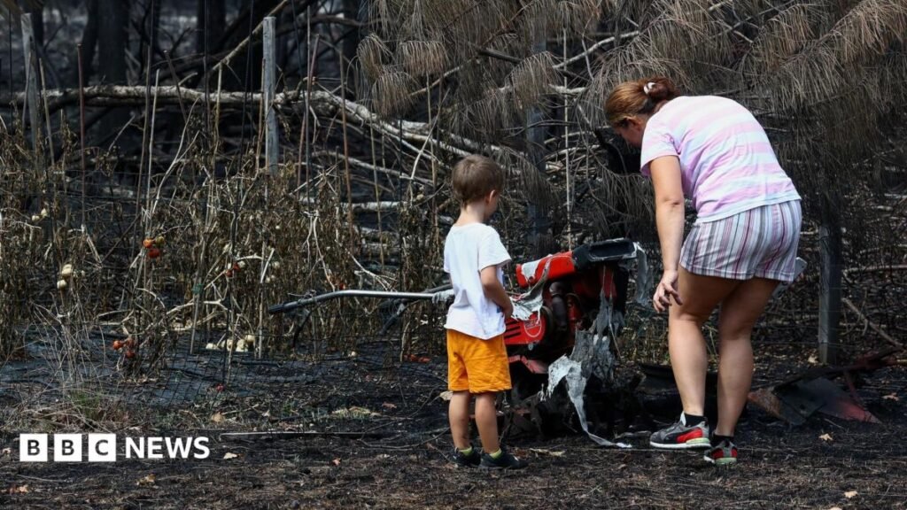 France wildfires reveal hundreds of WW2 shells in village