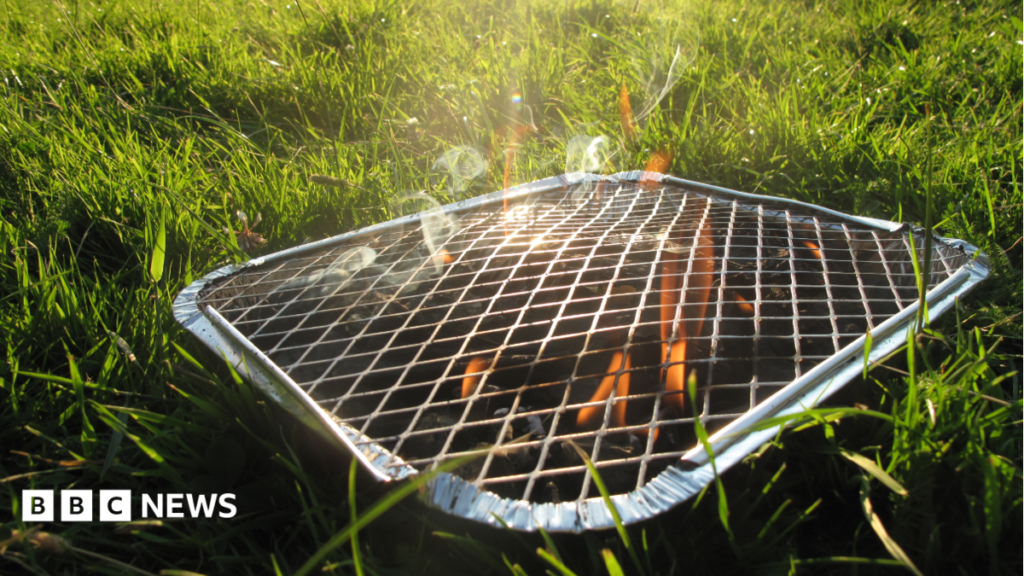 Andy Burnham says disposable BBQ ban under consideration