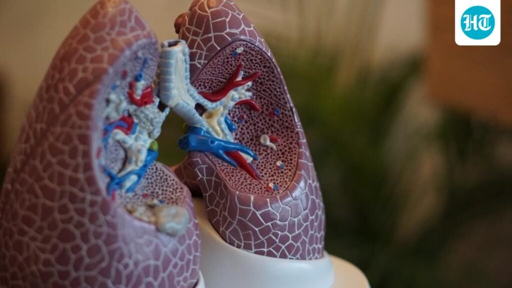 World Lung Cancer Day 2026: Can the kitchen harm your lungs? Oncologist Dr Ravi Wategaonkar on how to reduce AQI at home