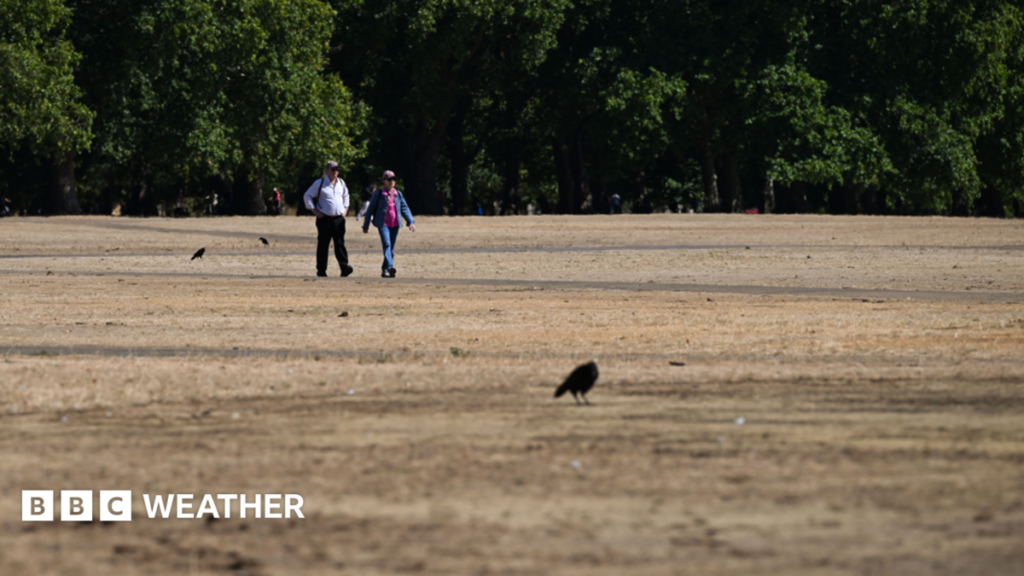 UK weather: Brief relief ahead of fifth heatwave – as more areas could move into drought