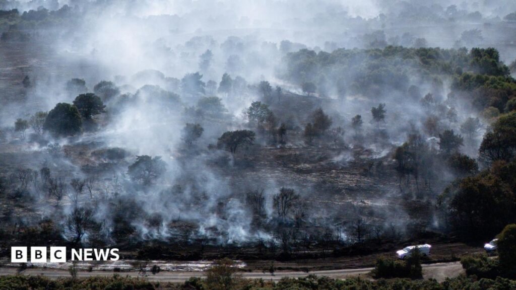 Dunwich heathland fire stood down as major incident