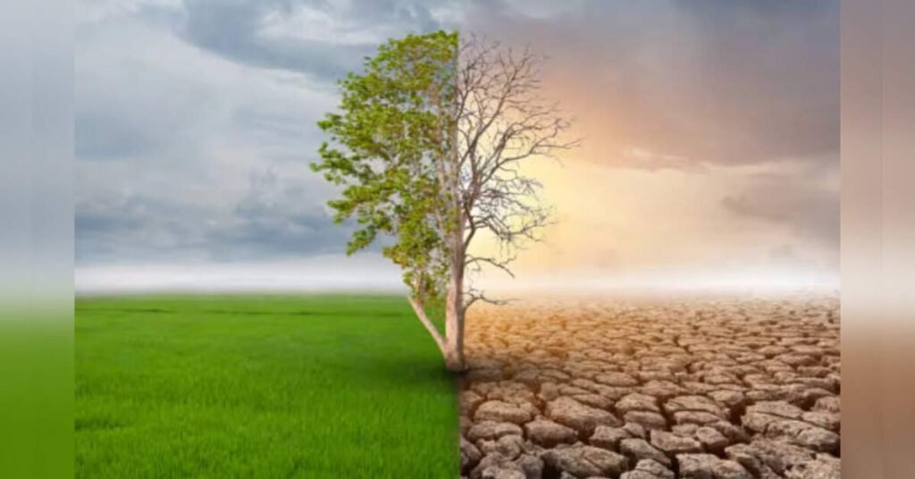 Global warming widens spread of TBE, chikungunya, Bavarian Nordic boss says, ETHealthworld