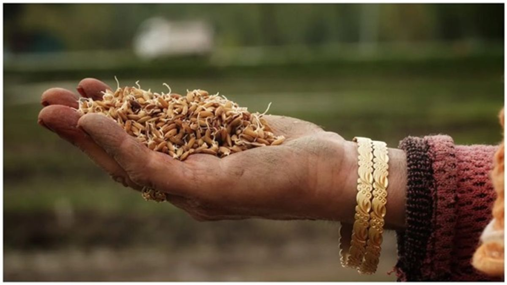 Women make up 74.73% of J&K’s agri workforce