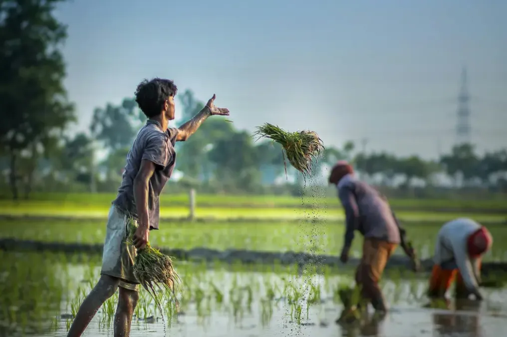 How Youth Engagement is Reshaping Rural Livelihoods