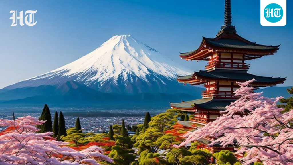Bento box mindset to Oosouji: 7 Japanese life hacks that may help you feel calmer