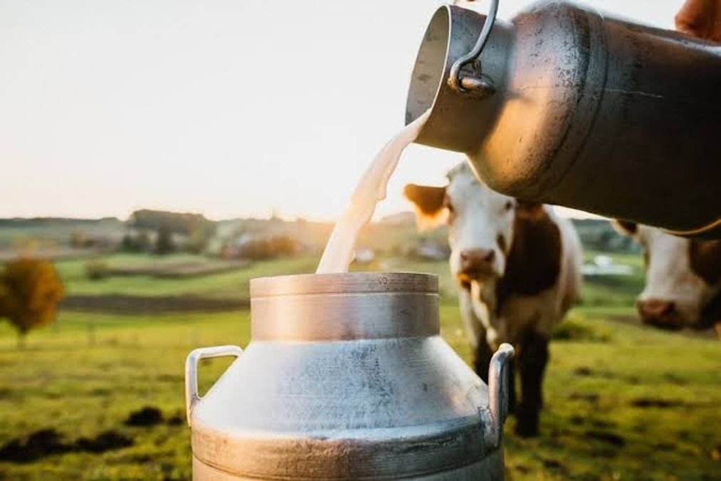 J&K’s milk production touches 29.7 lakh tonnes