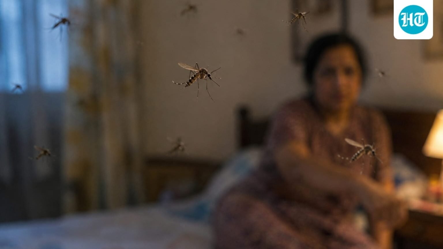 Everyday explained: Why mosquitoes bite some people more than others
