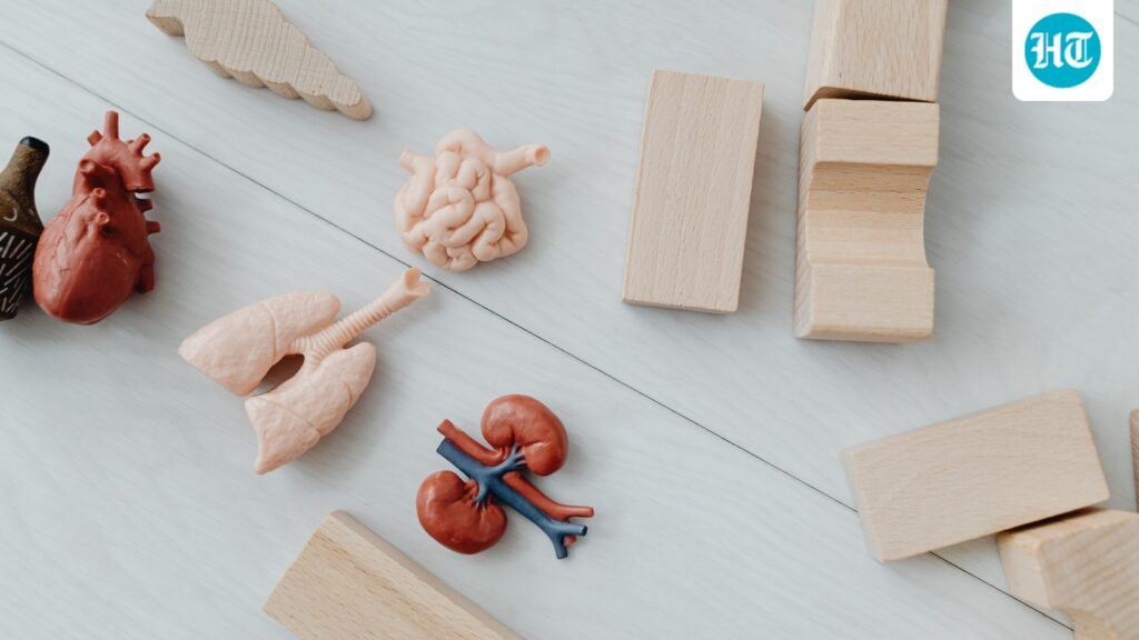 How to know if you have kidney stones? Nephrologist explains flank pain, urine changes and more