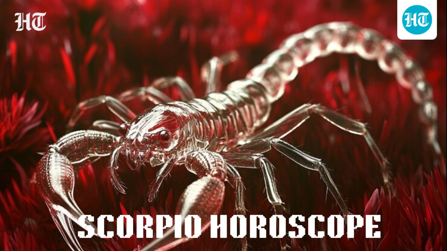 Scorpio Horoscope Today, August 15, 2026: A timely connection may open the door to long-awaited progress today