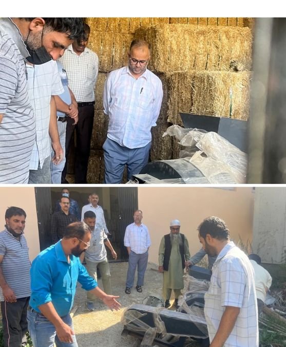 Dir Agri visits Integrated Mushroom Dev Centre at Lalmandi