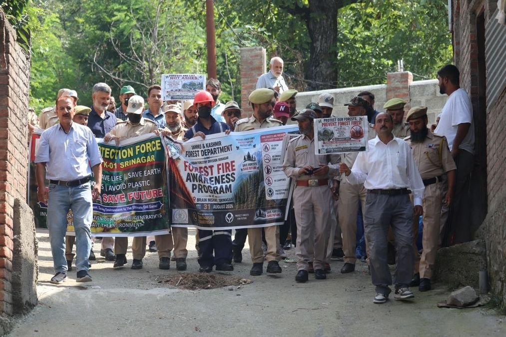 Short: Our ecosystem is extremely fragile: Forest Dept