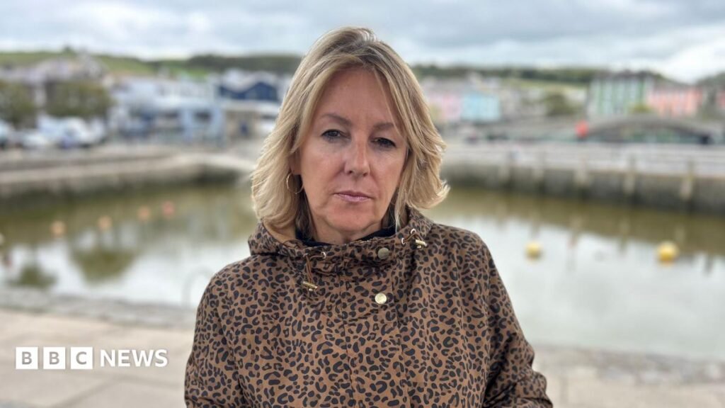 Ceredigion councillor faces ‘hatred’ online after sharing RNLI video