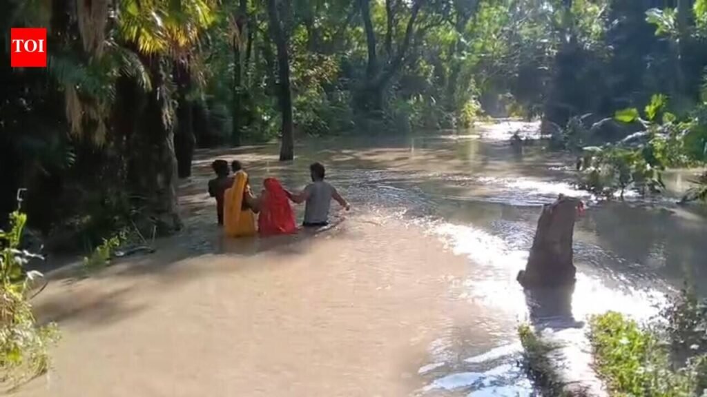 Flooded road cuts off four villages in Bagaha-2 | Patna News