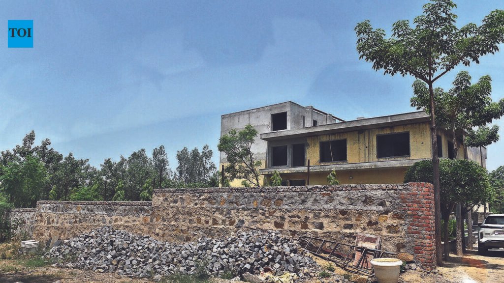 Court stays hold up action against Aravali encroachments, CEC told | Gurgaon News