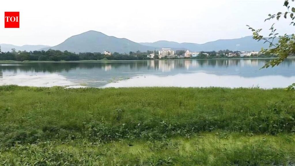 NHRC seeks action on Jagannath Sagar encroachment in Jeypore | Bhubaneswar News