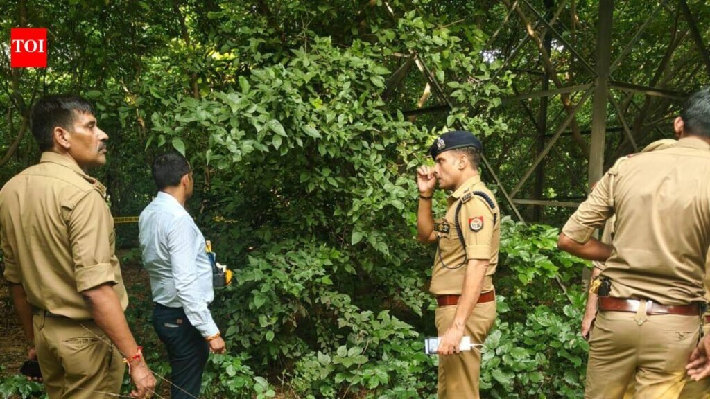 Greater Noida rape-murder suspect was arrested in 2017 for twin sexual assaults & killings | Noida News