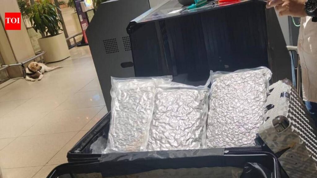 Sniffer dog helps officials seize 6kg hydroponic marijuana at SVPI | Ahmedabad News
