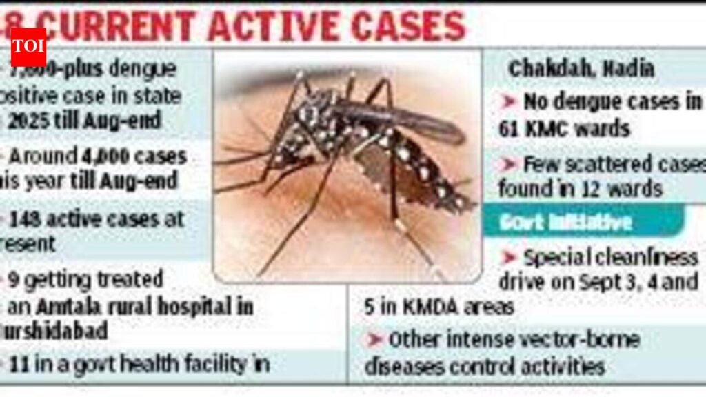 4,000 dengue cases in state so far against 7,600 last yr, 1 death: CM | Kolkata News