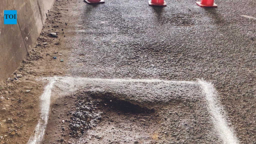 NMC’s 1,282-pothole Count Raises Questions As 2,772km Of TAR Roads Await Repairs Ahead Of Ganeshotsav | Nagpur News