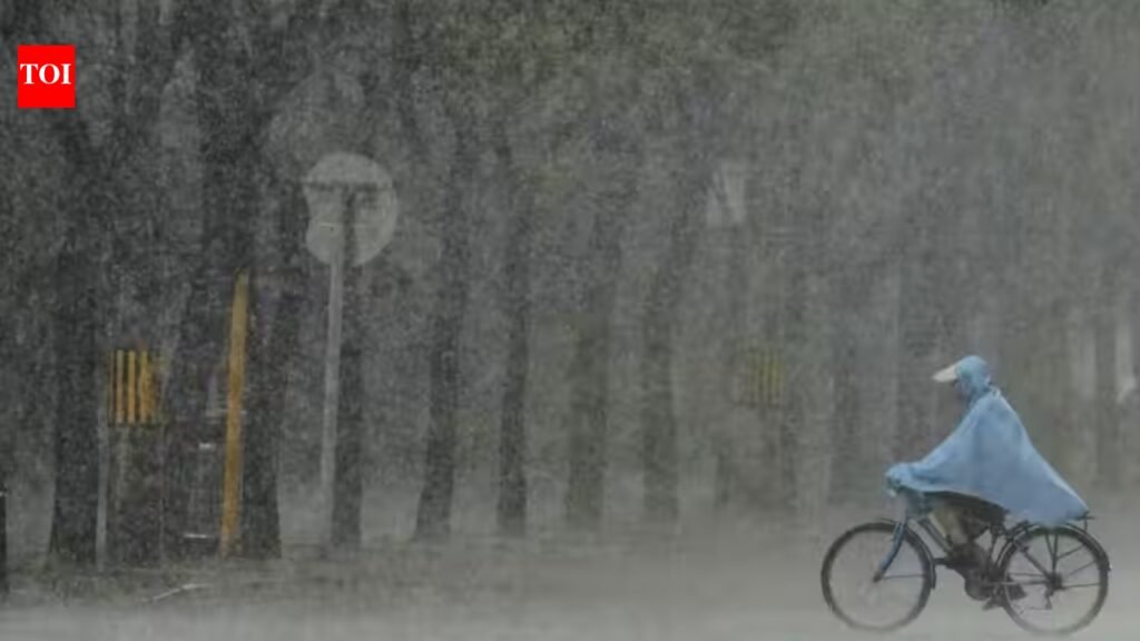 Weather tomorrow: IMD forecasts heavy rain, thunderstorms across states; red alert in Jharkhand, orange alert in MP | Delhi News