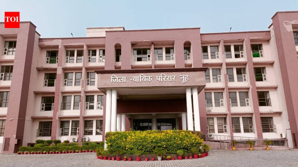 8 years after pregnant woman’s killing, Nuh court sends husband to jail for life | Gurgaon News