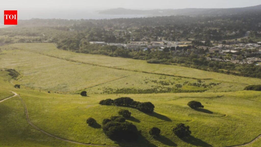 Clint Eastwood bought a 134-acre California artichoke ranch in 1995; he and Margaret Eastwood later donated land that now forms a 128-acre floodplain restoration site