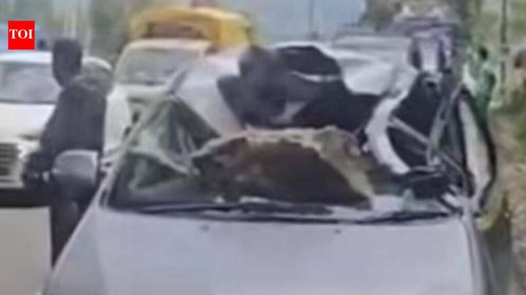 Boulder kills ex-sarpanch of Narayanpur in Kashmir’s Anantnag | Bhubaneswar News