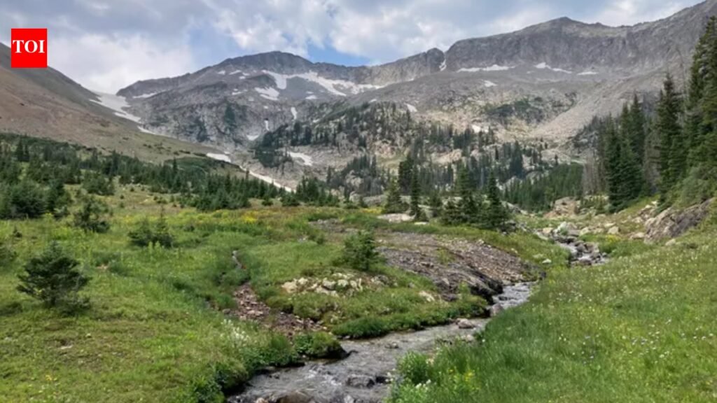 From 1886 to 1968, more than 20 million fish were stocked in waters that became Rocky Mountain National Park; in 2026 crews treated 14.3 miles to remove non-native fish and restore threatened greenback trout